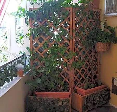 Dalla Zia Bari